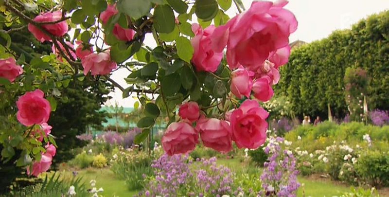 Jardin de Monet &agrave; Giverny