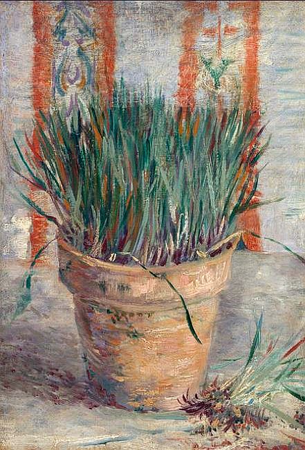 Ciboulette dans un pot par Van Gogh