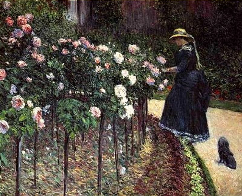 gustave Caillebotte les roses du jardin  du Petit gennevilliers